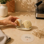 Coastal Charm Seashell Salt & Pepper Shaker Set